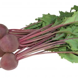 BETTERAVE Rouge  Barquette de 6