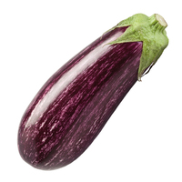 AUBERGINE Leire GREFFEE