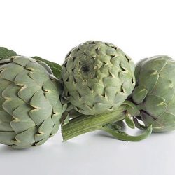ARTICHAUT Sambo