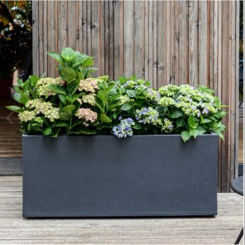 JARDINIERE BASALT