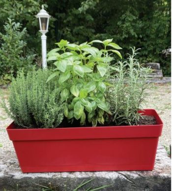 JARDINIERE COCORIPOT JADE + Plateau Clipsé – Image 3