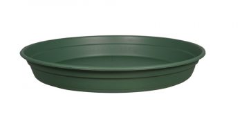 SOUCOUPE COCORIPOT Rond – Image 4