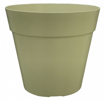 POT COCORIPOT Jade – Image 2