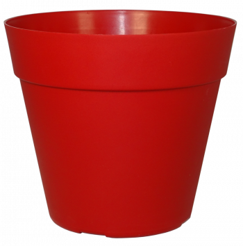 POT COCORIPOT Jade – Image 4