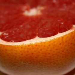 CITRUS paradisi pamplemoussier