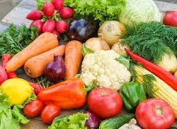 Plants de Légumes
