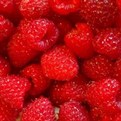 PETITS FRUITS